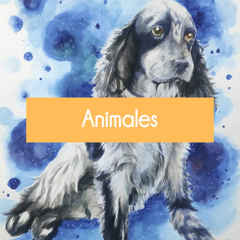 dibujos de animales